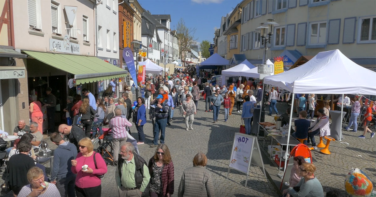 Sinziger Frühlingserwachen